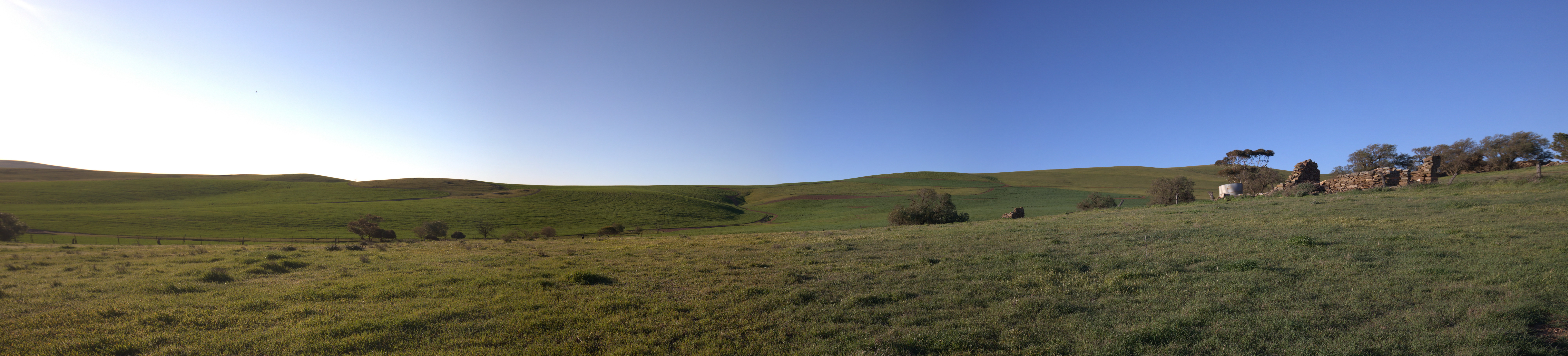 2019 08 30 16 47 45 Canon EOS 5D Mark IV 0025